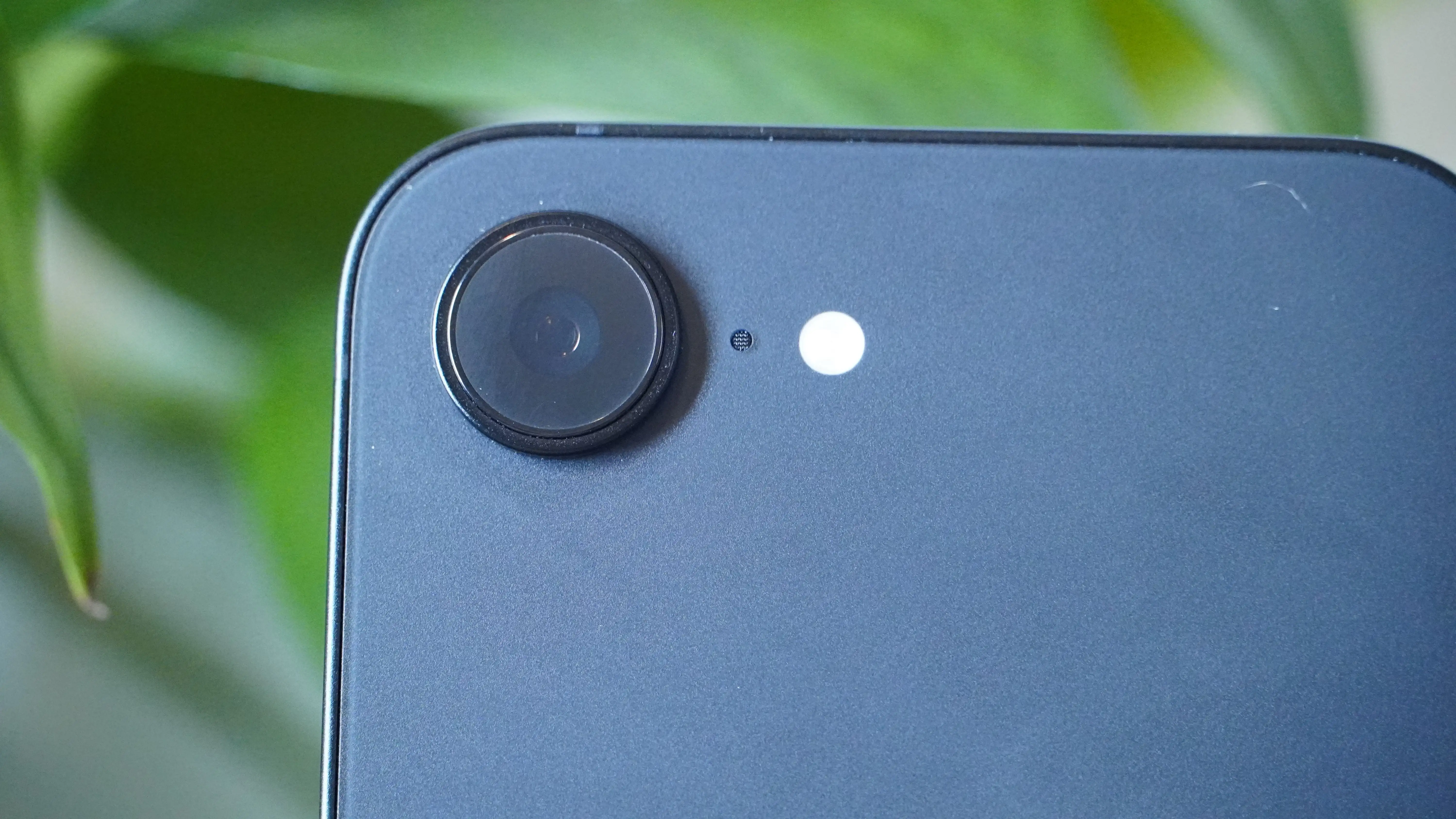 国安足协杯,胜利,京城荣耀或,九游娱乐官网,九游娱乐入口,九游娱乐平台,九游娱乐官方