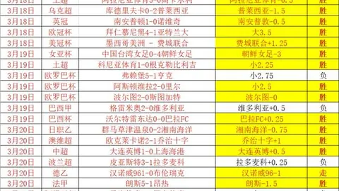 布拉格斯拉维亚防线危机解析